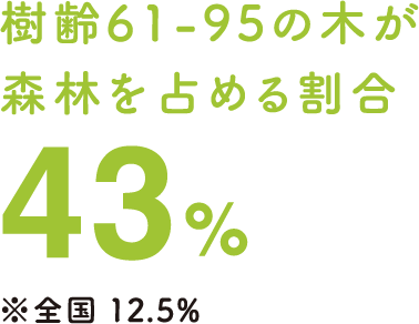 樹齢61-95の木が森林を占める割合43%(※全国12.5%)